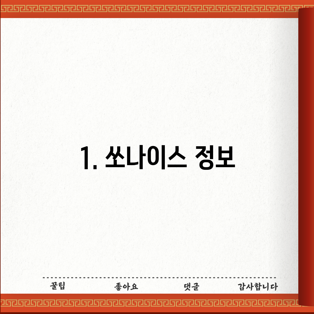 1. 쏘나이스 정보