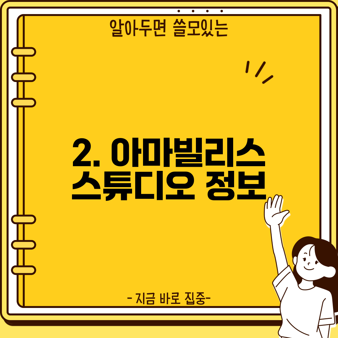 2. 아마빌리스 스튜디오 정보