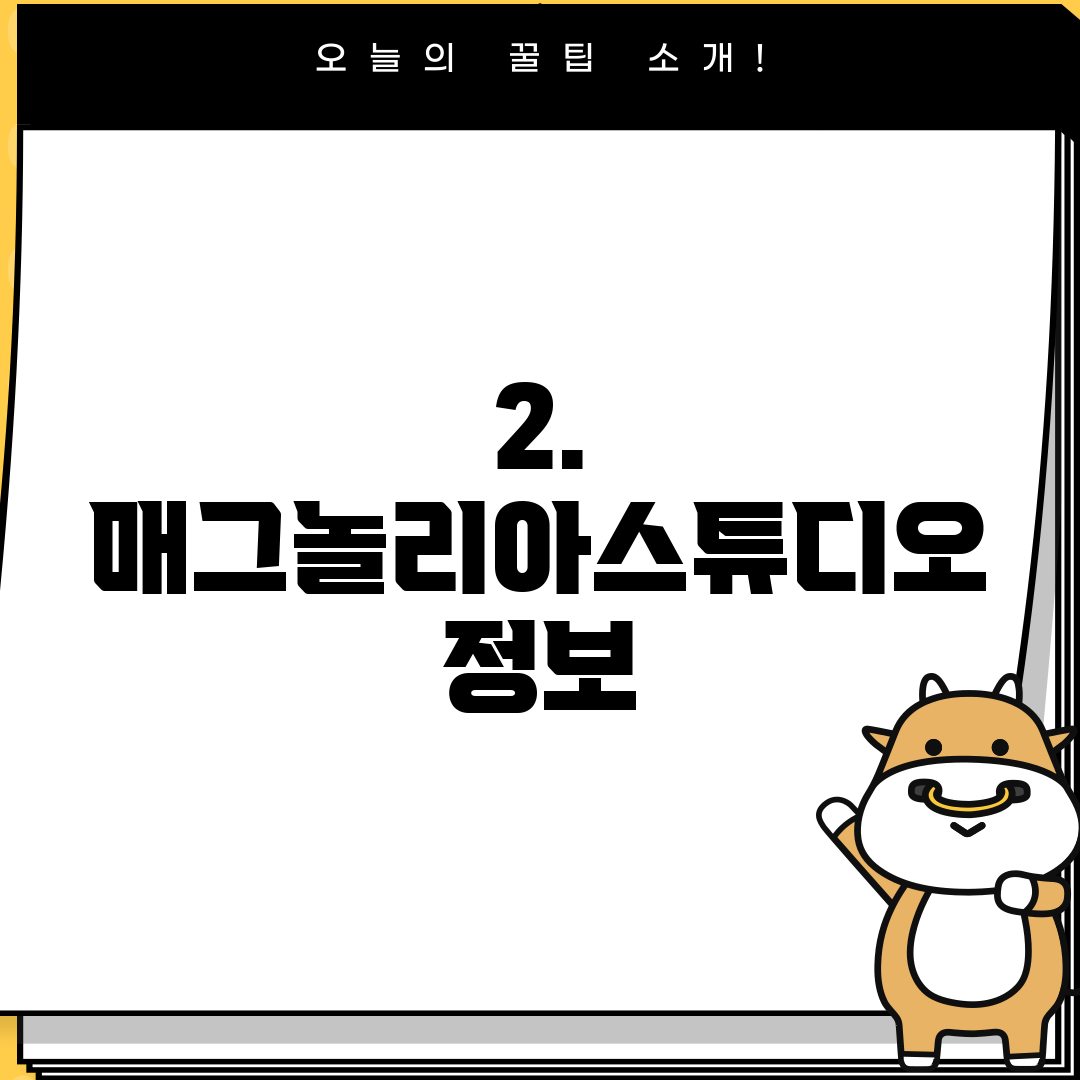 2. 매그놀리아스튜디오 정보