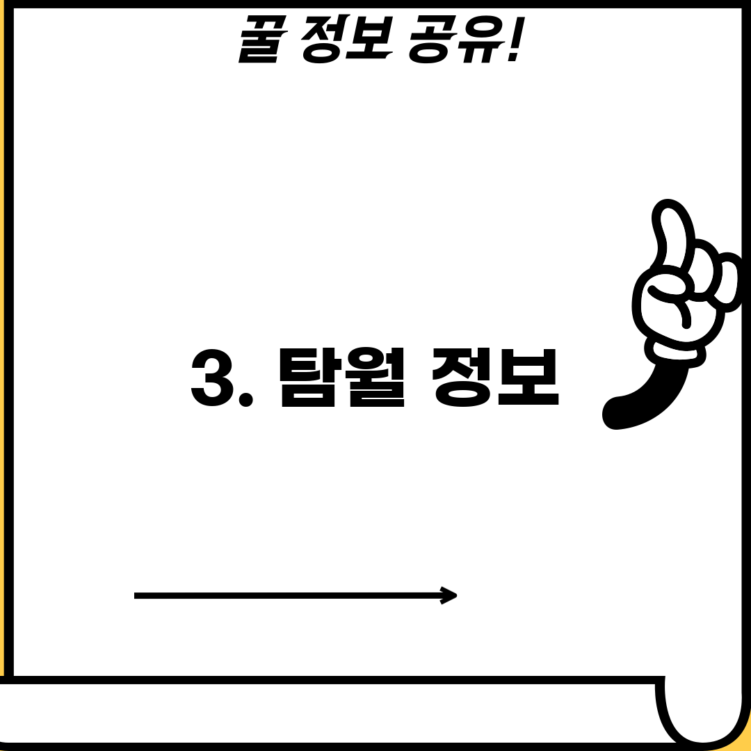 3. 탐월 정보