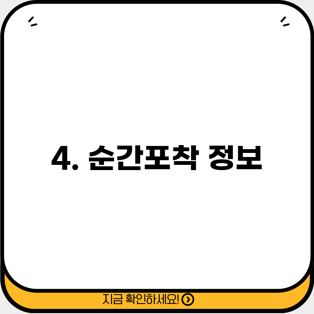 4. 순간포착 정보