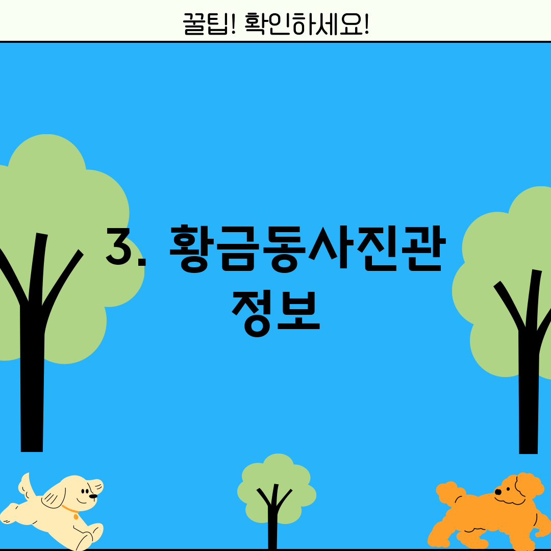3. 황금동사진관 정보