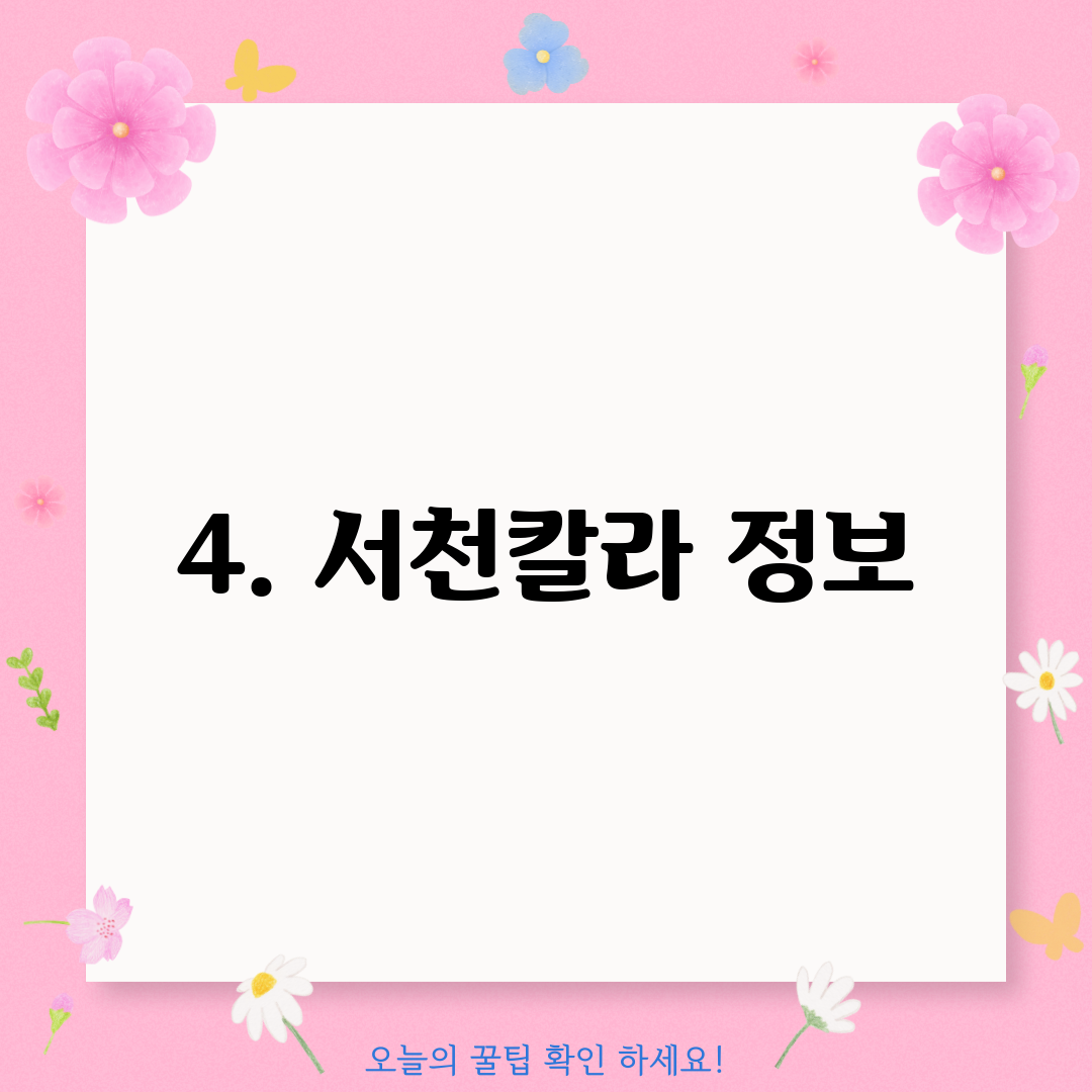 4. 서천칼라 정보