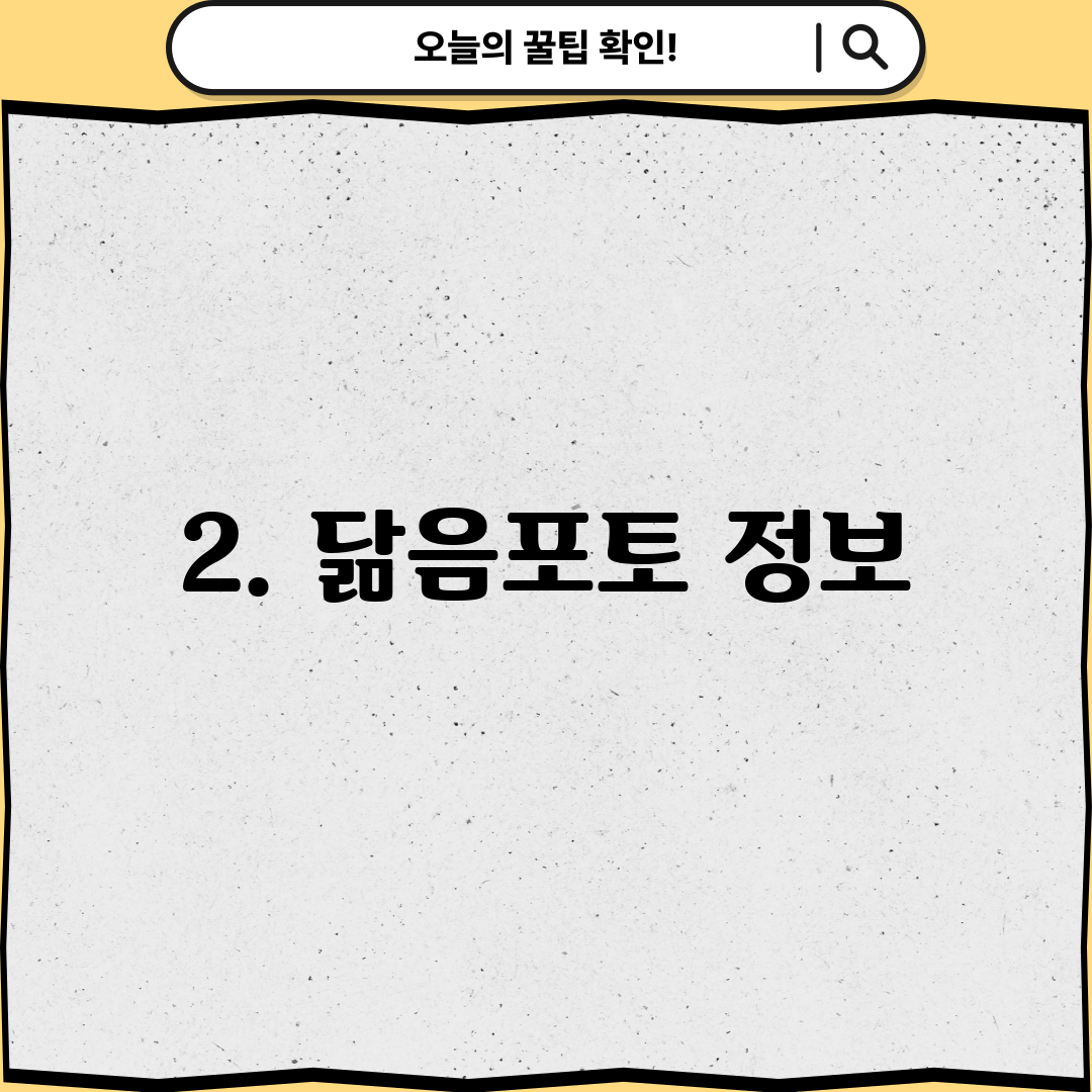 2. 닮음포토 정보