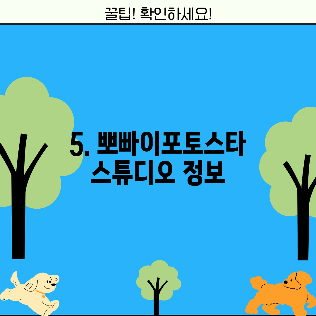 5. 뽀빠이포토스타스튜디오 정보
