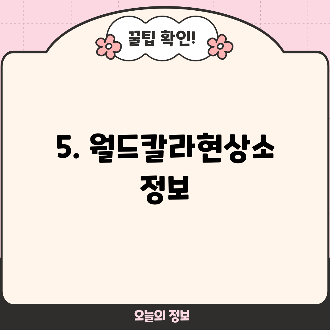 5. 월드칼라현상소 정보