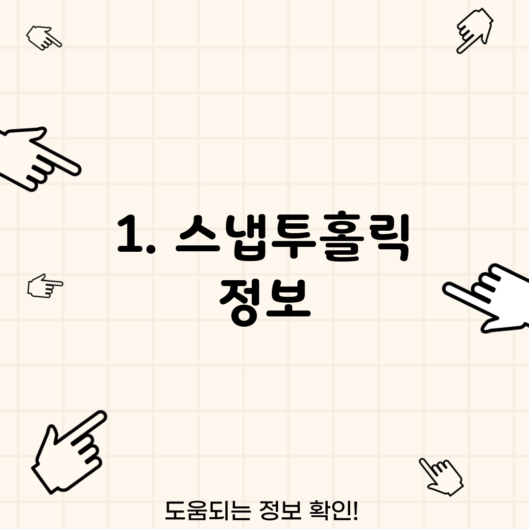 1. 스냅투홀릭 정보