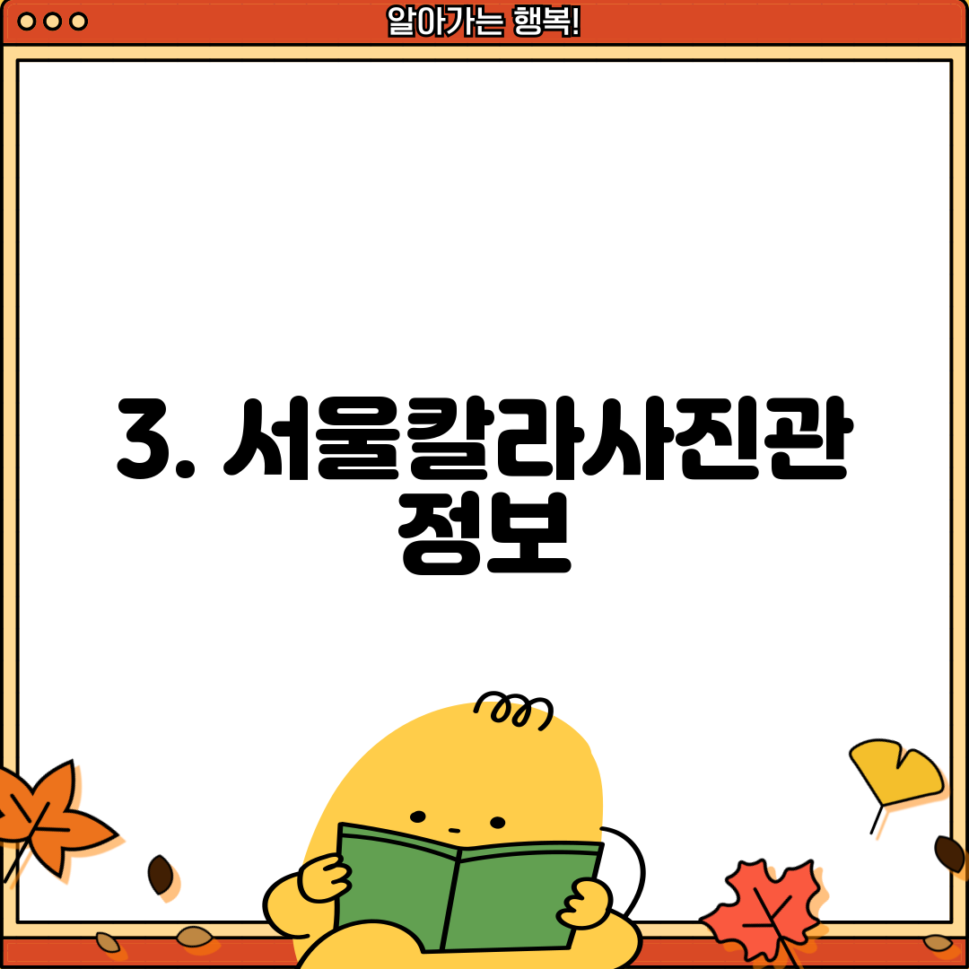 3. 서울칼라사진관 정보