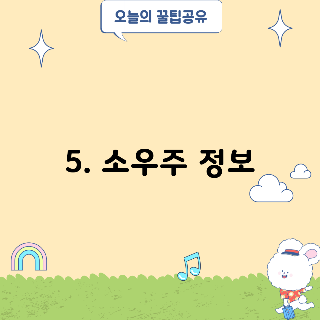 5. 소우주 정보