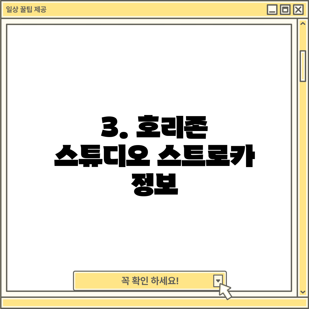 3. 호리존 스튜디오 스트로카 정보