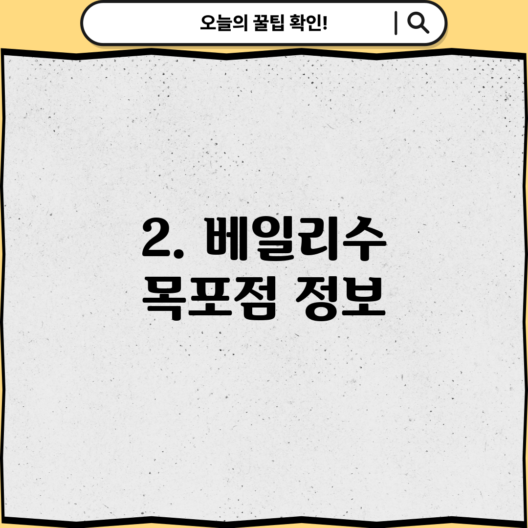 2. 베일리수 목포점 정보