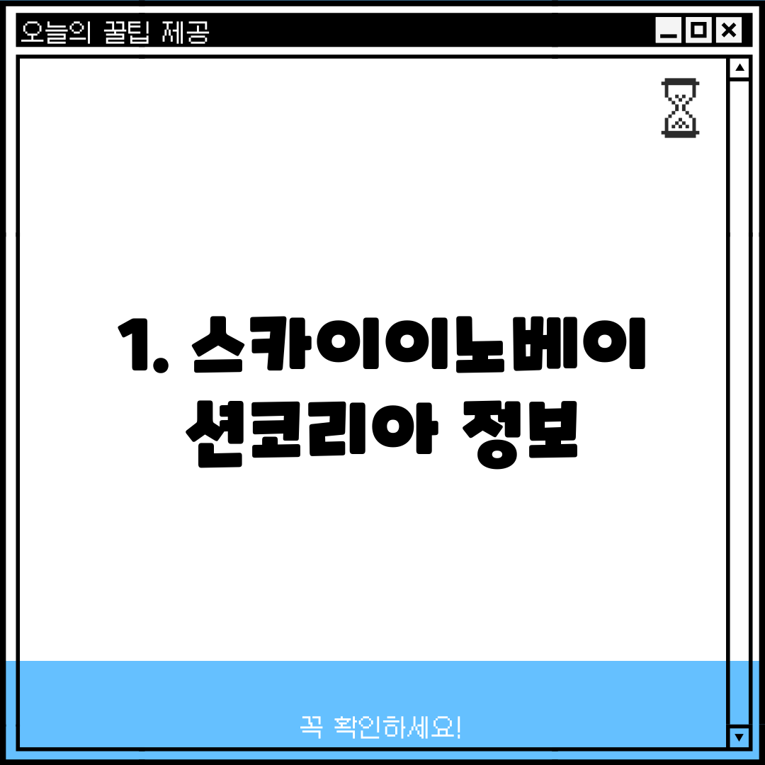 1. 스카이이노베이션코리아 정보