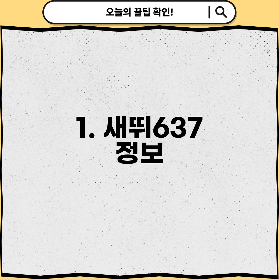 1. 새뛰637 정보
