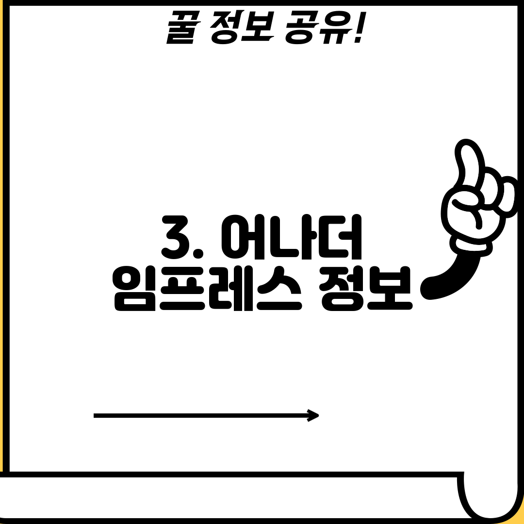 3. 어나더 임프레스 정보