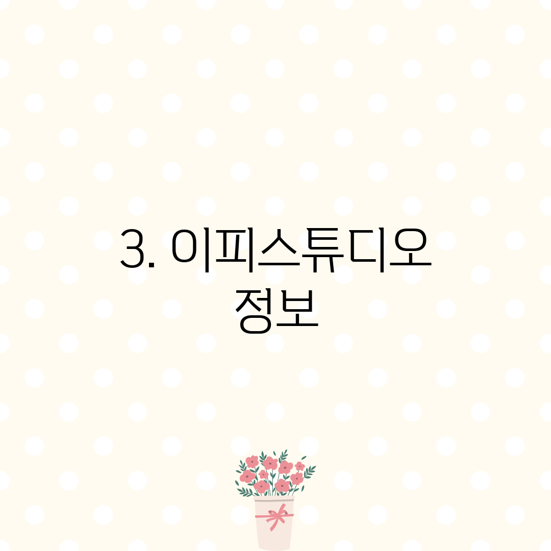3. 이피스튜디오 정보