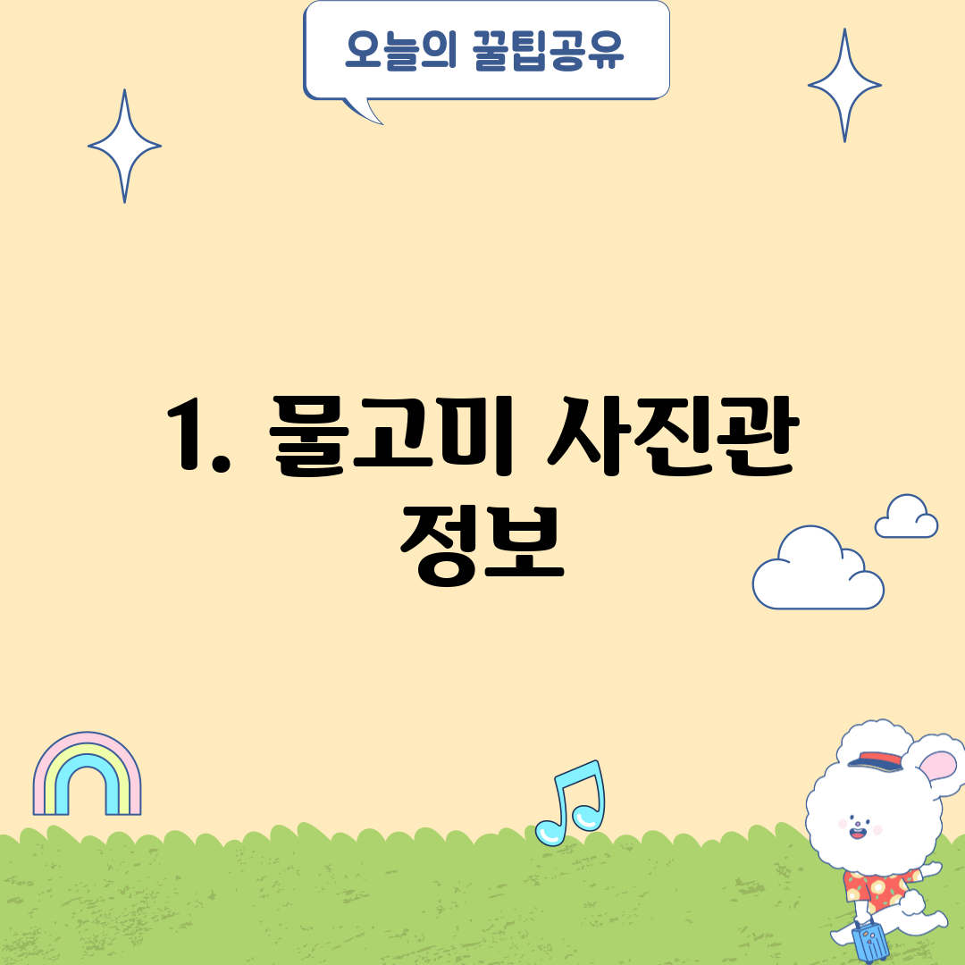 1. 물고미 사진관 정보