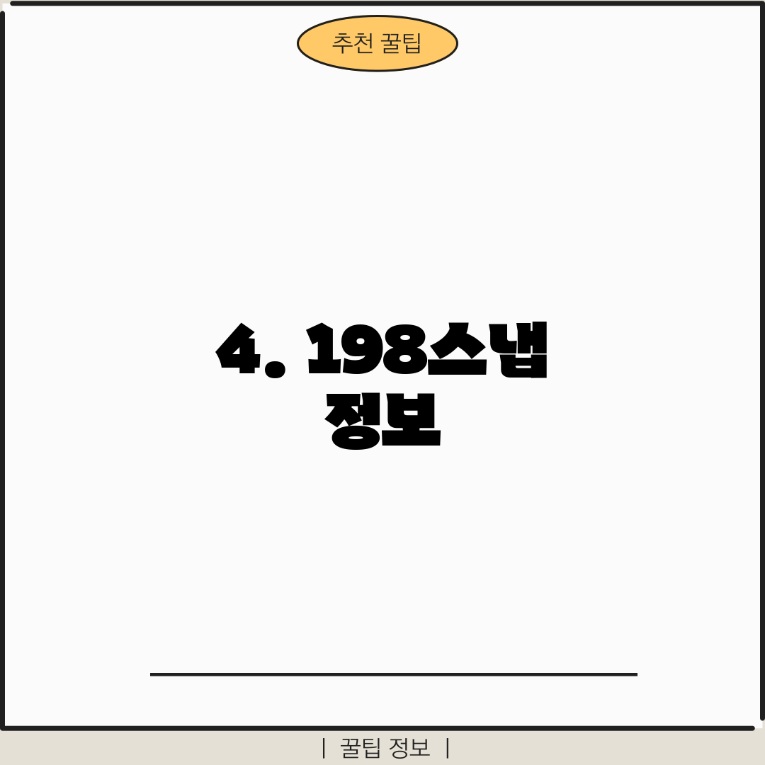 4. 198스냅 정보