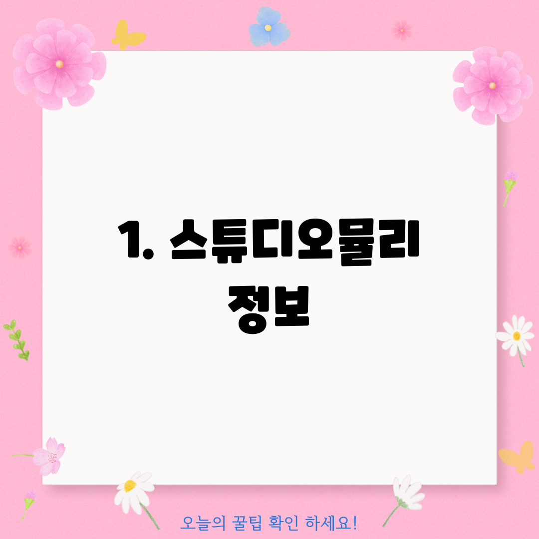 1. 스튜디오뮬리 정보