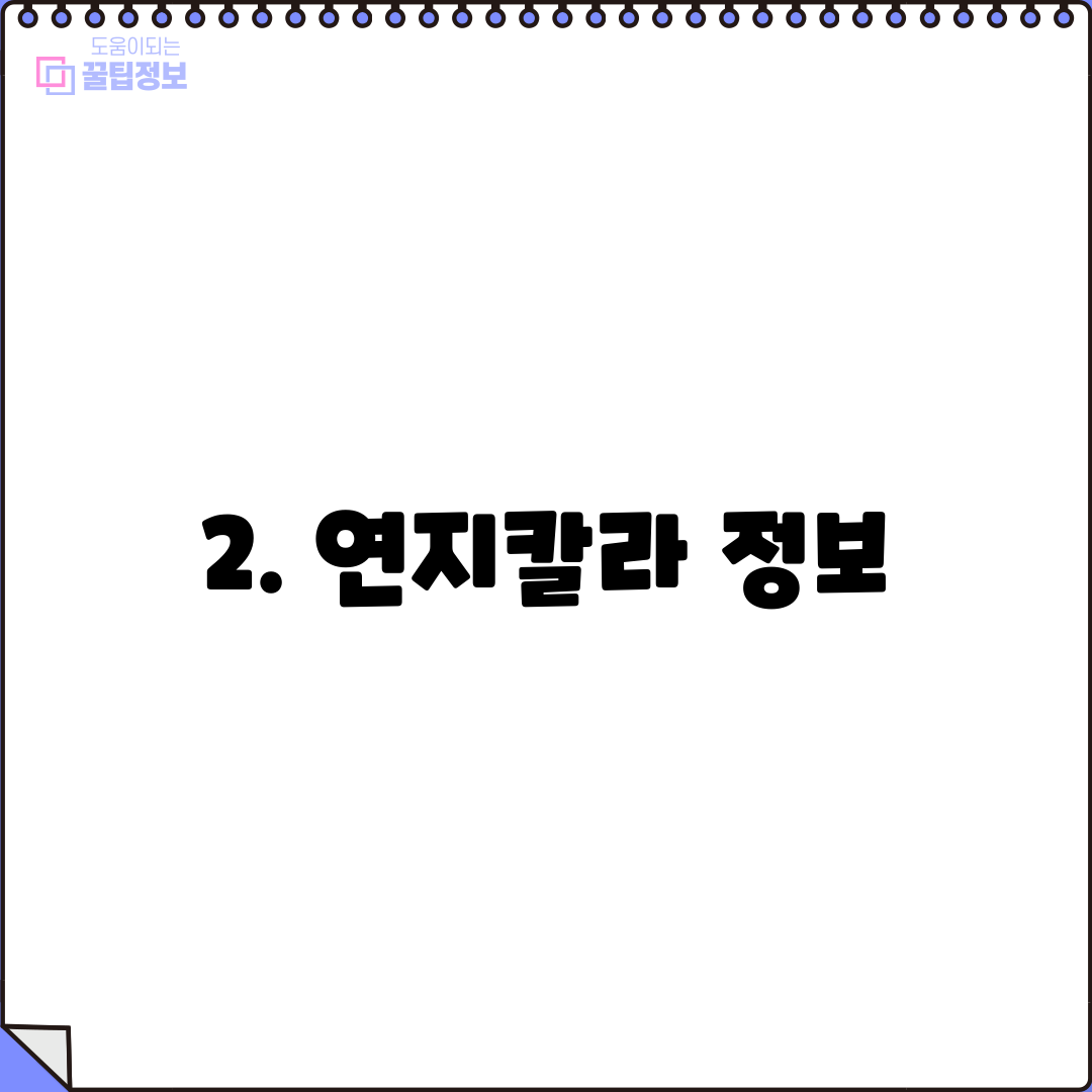2. 연지칼라 정보