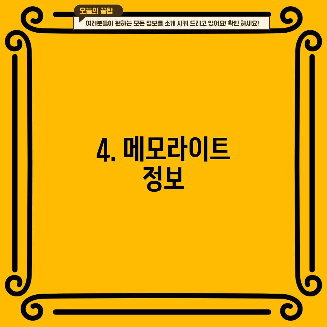 4. 메모라이트 정보