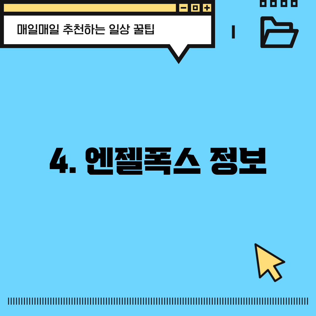4. 엔젤폭스 정보