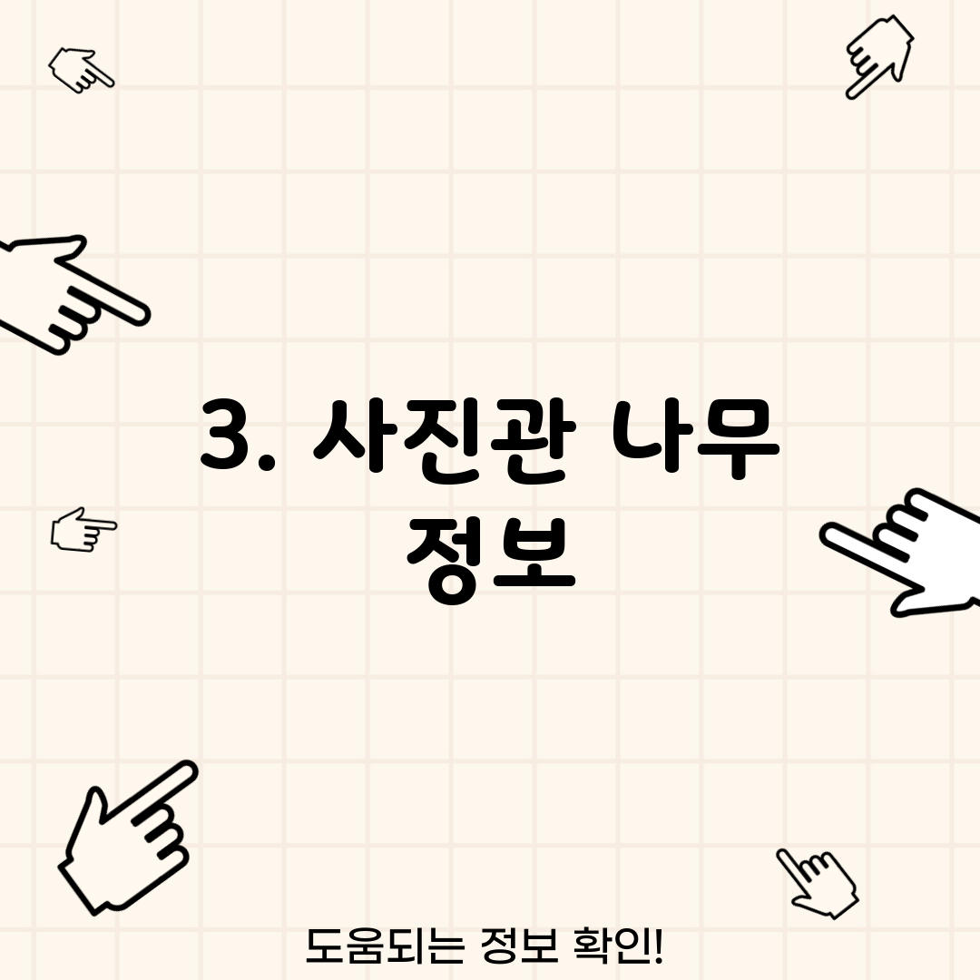 3. 사진관 나무 정보