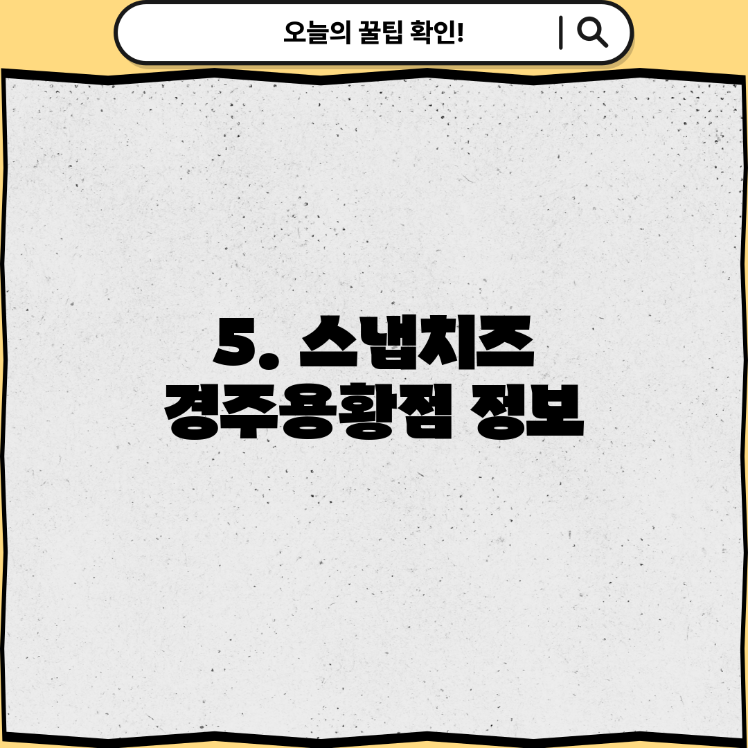 5. 스냅치즈 경주용황점 정보