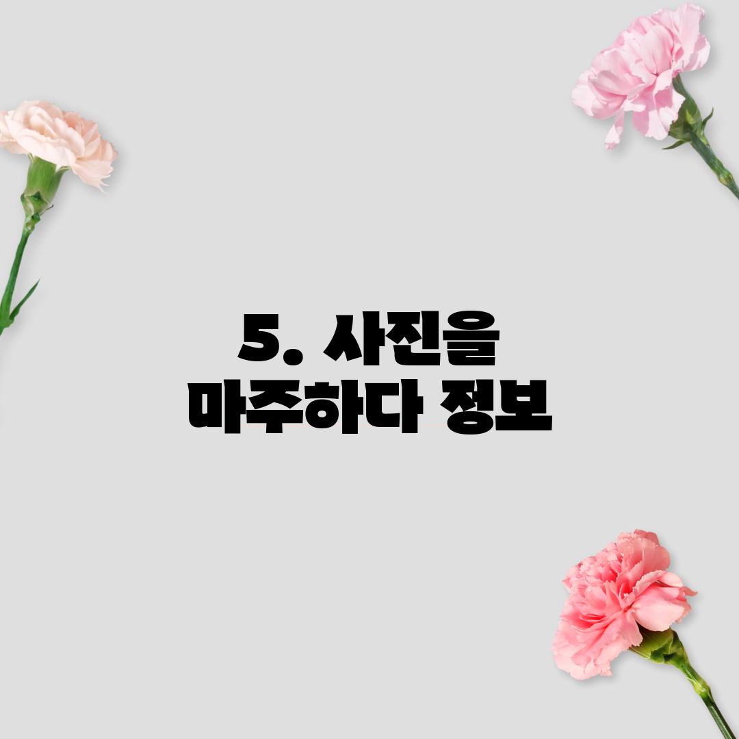 5. 사진을 마주하다 정보