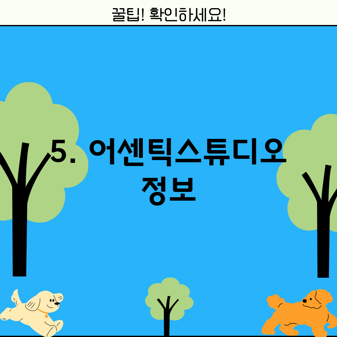 5. 어센틱스튜디오 정보