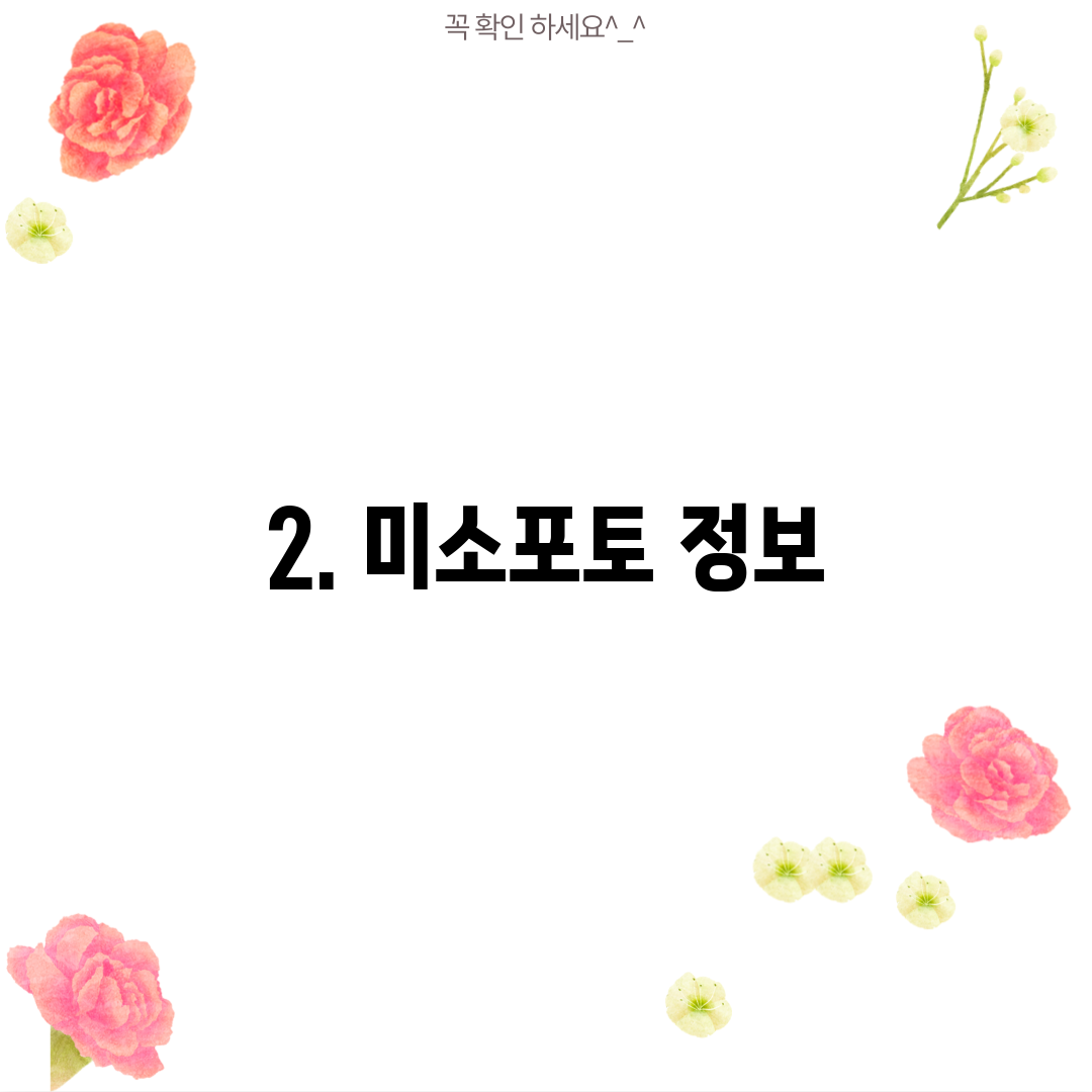 2. 미소포토 정보