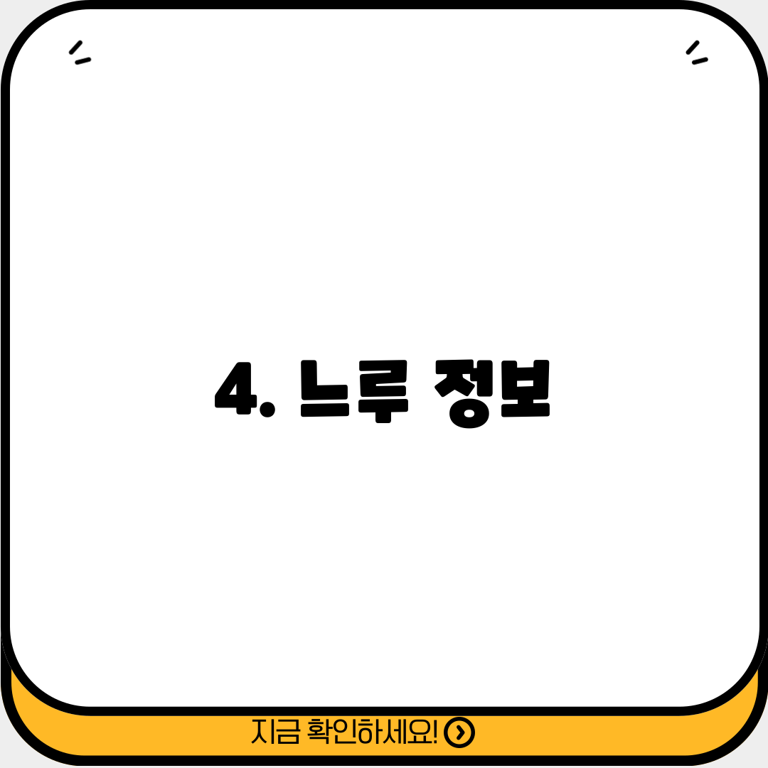 4. 느루 정보