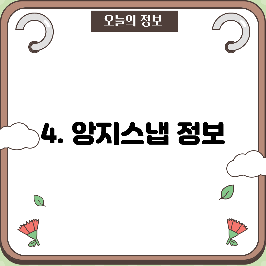 4. 앙지스냅 정보