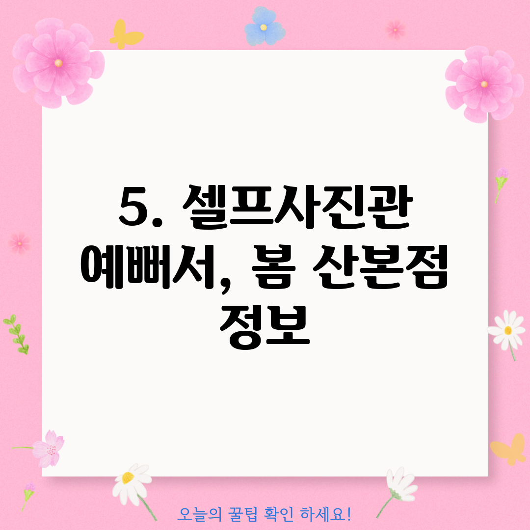 5. 셀프사진관 예뻐서, 봄 산본점 정보