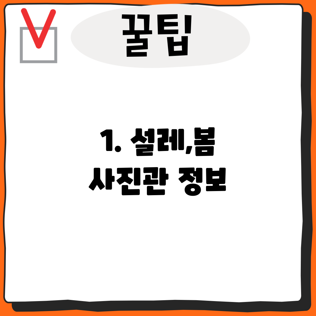 1. 설레,봄 사진관 정보