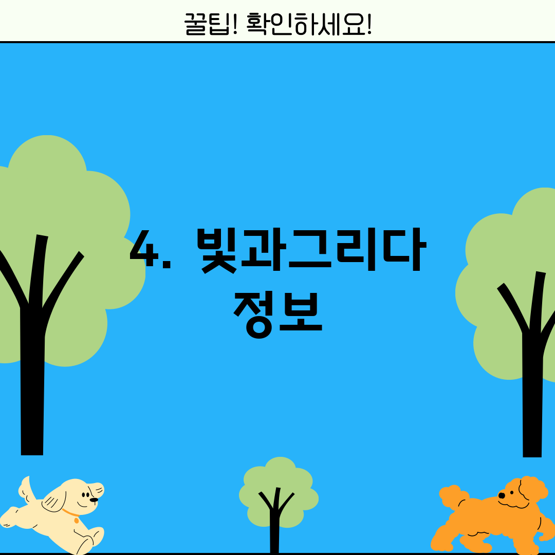 4. 빛과그리다 정보