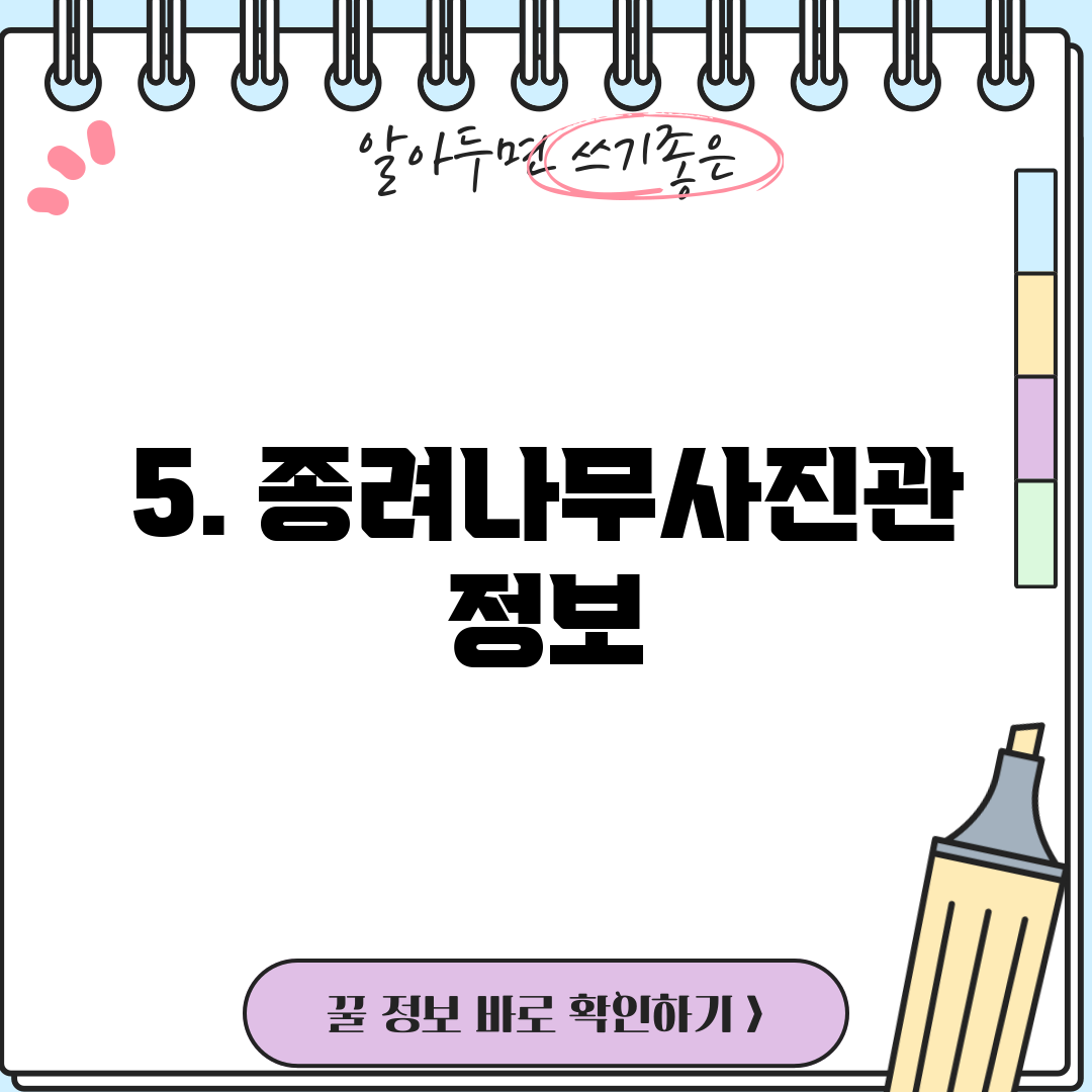5. 종려나무사진관 정보