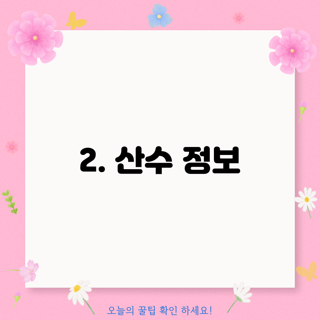 2. 산수 정보