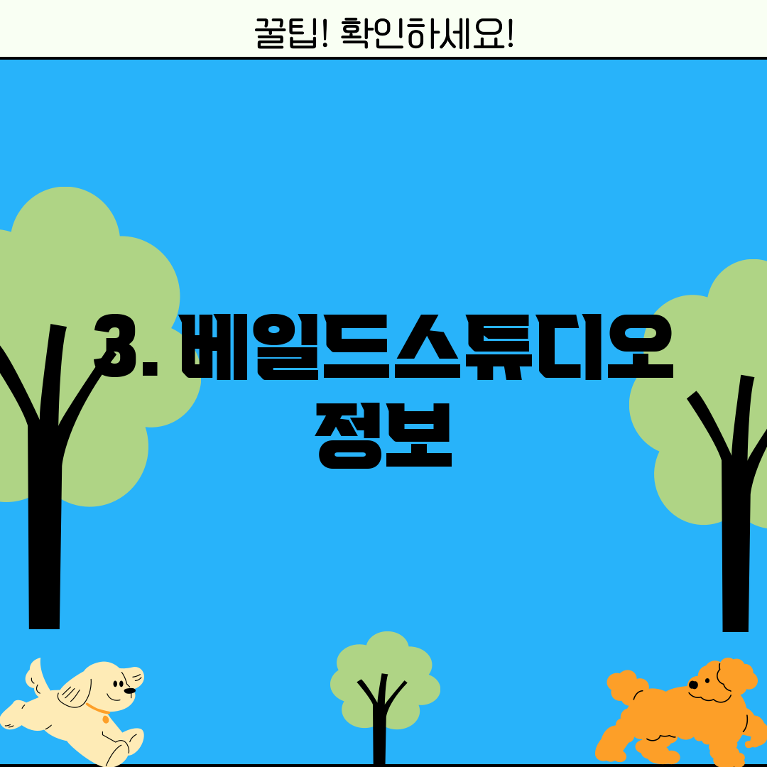 3. 베일드스튜디오 정보