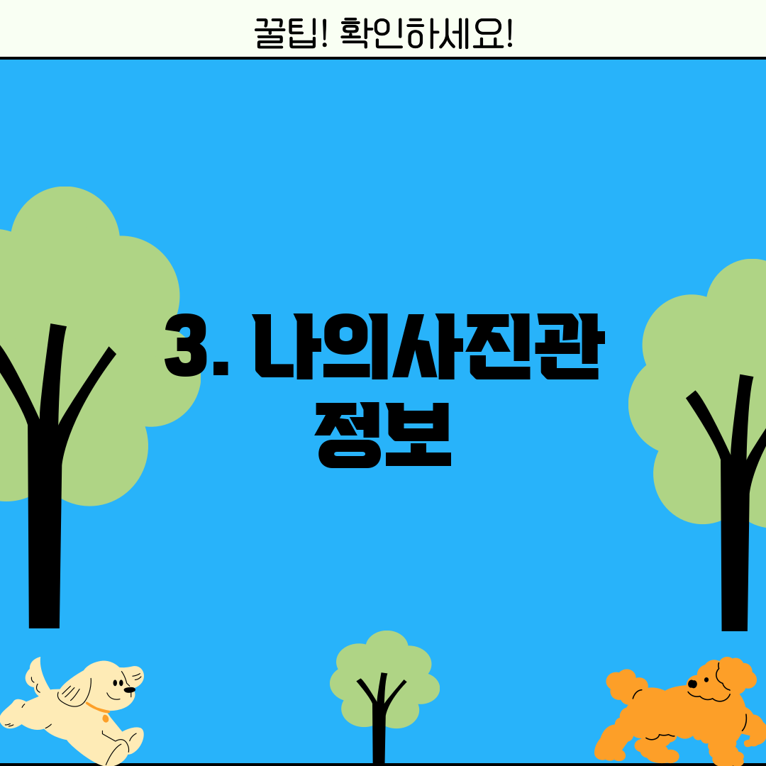 3. 나의사진관 정보