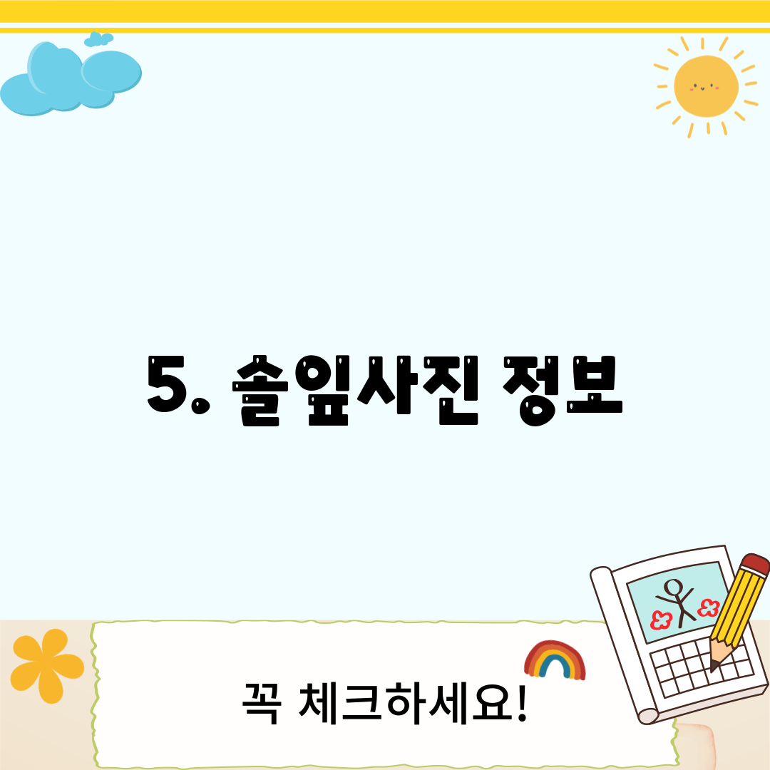 5. 솔잎사진 정보