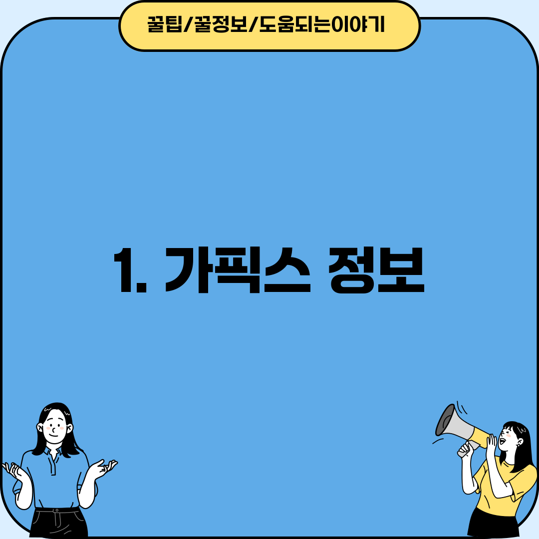 1. 가픽스 정보
