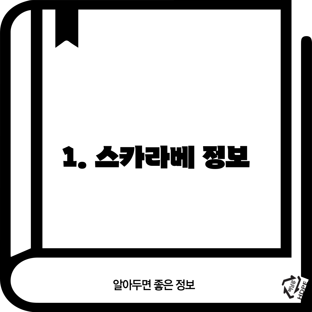 1. 스카라베 정보