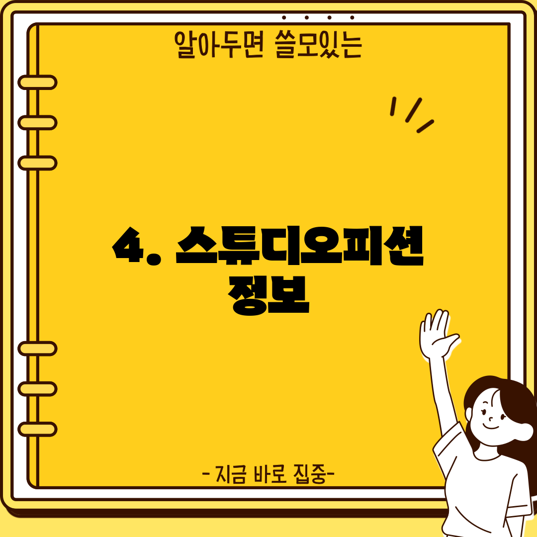 4. 스튜디오피션 정보