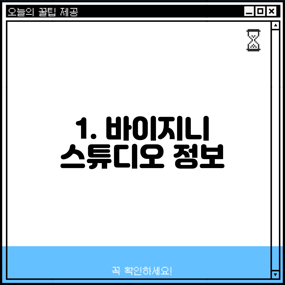1. 바이지니 스튜디오 정보