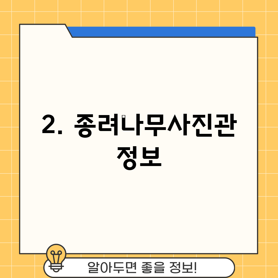 2. 종려나무사진관 정보
