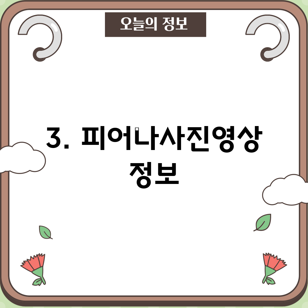 3. 피어나사진영상 정보