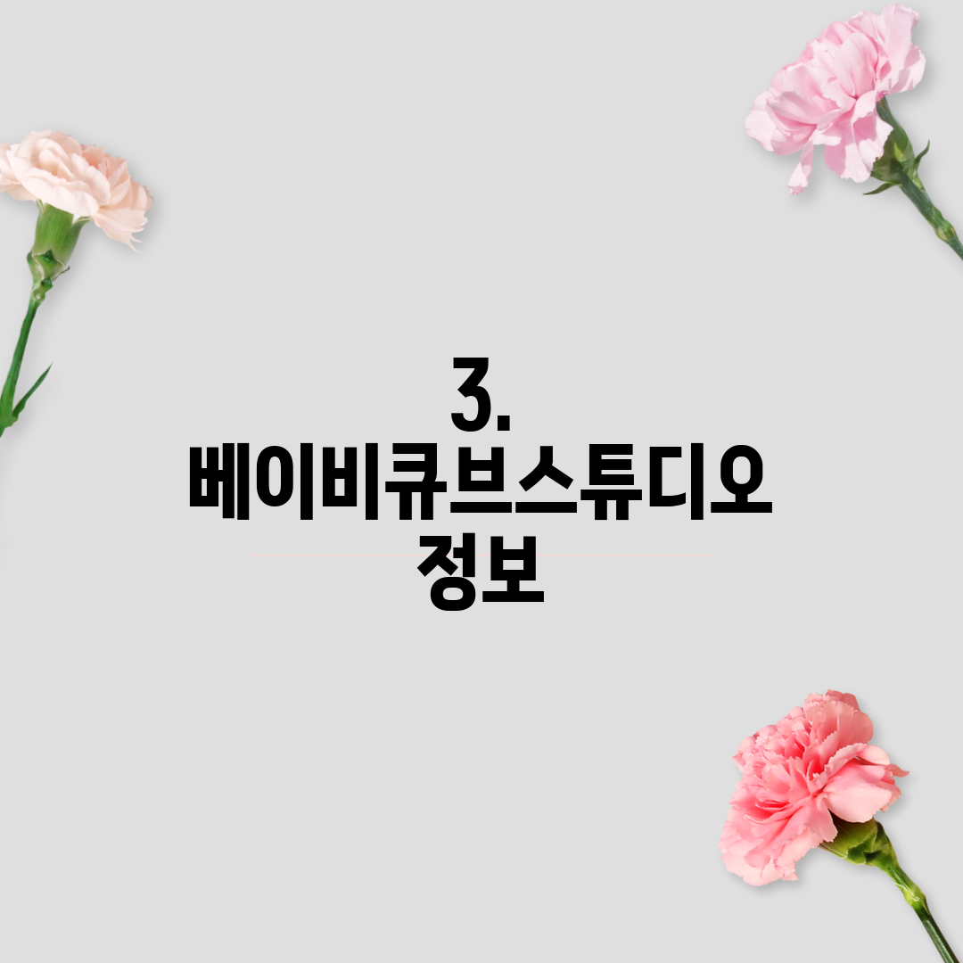 3. 베이비큐브스튜디오 정보