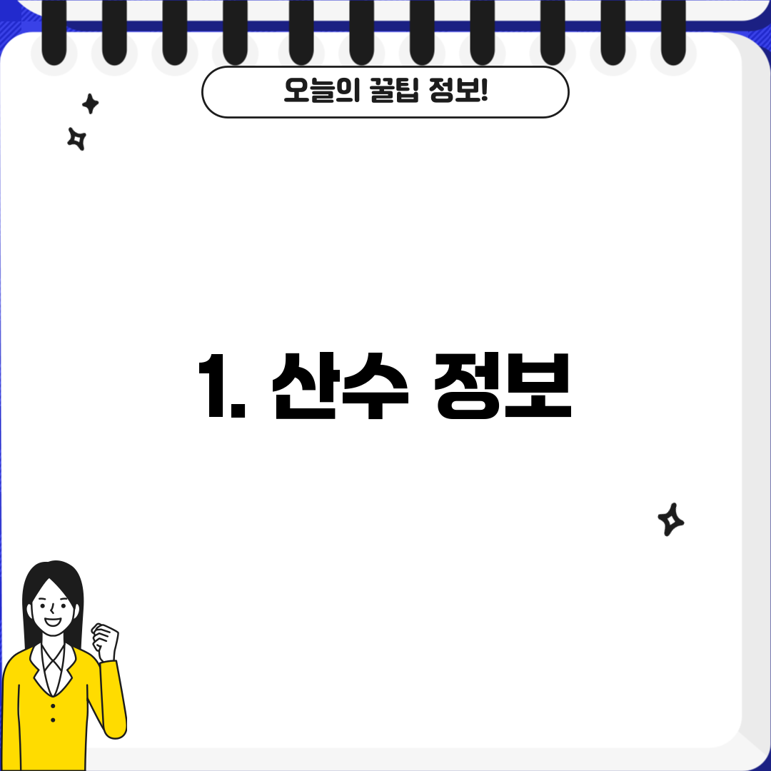 1. 산수 정보