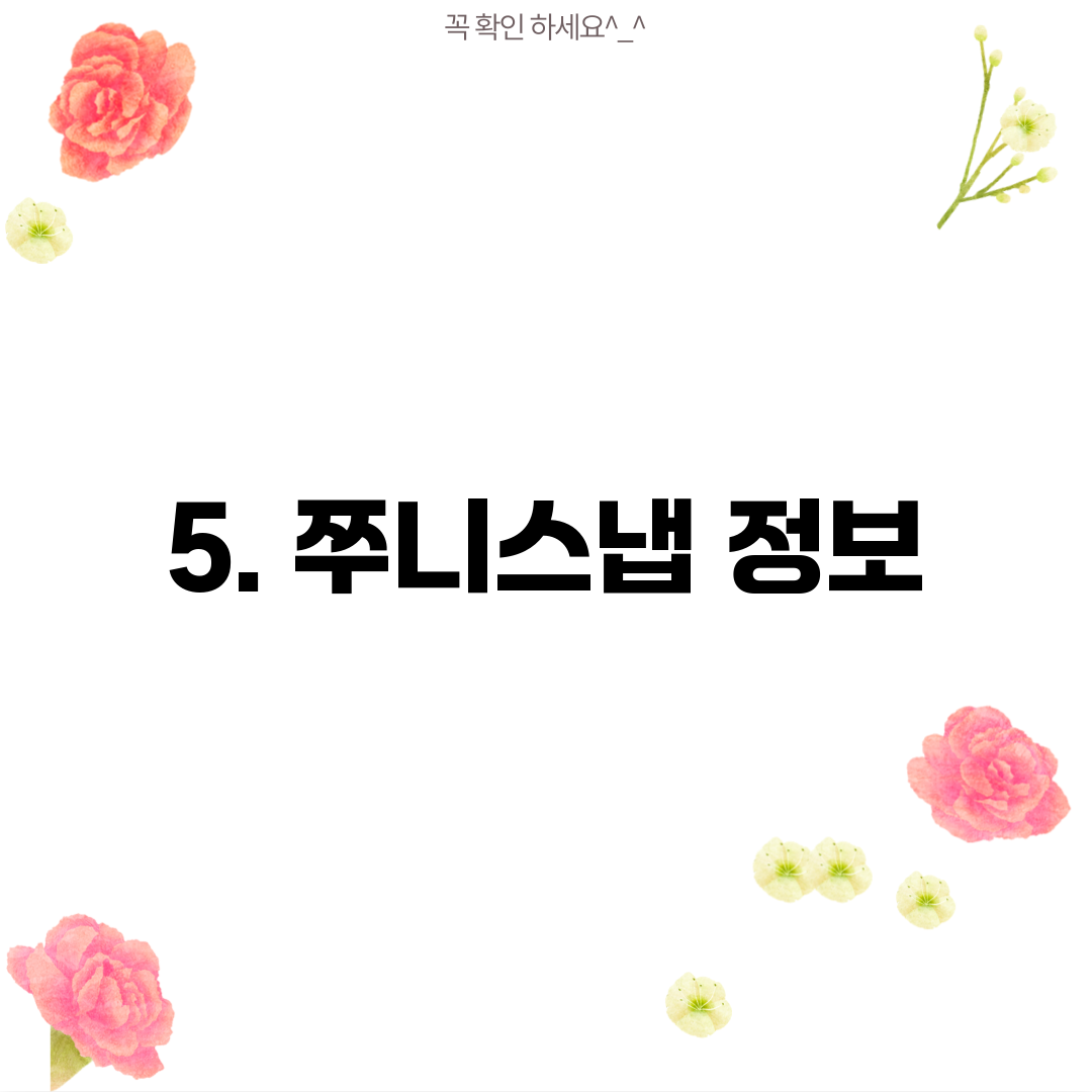 5. 쭈니스냅 정보