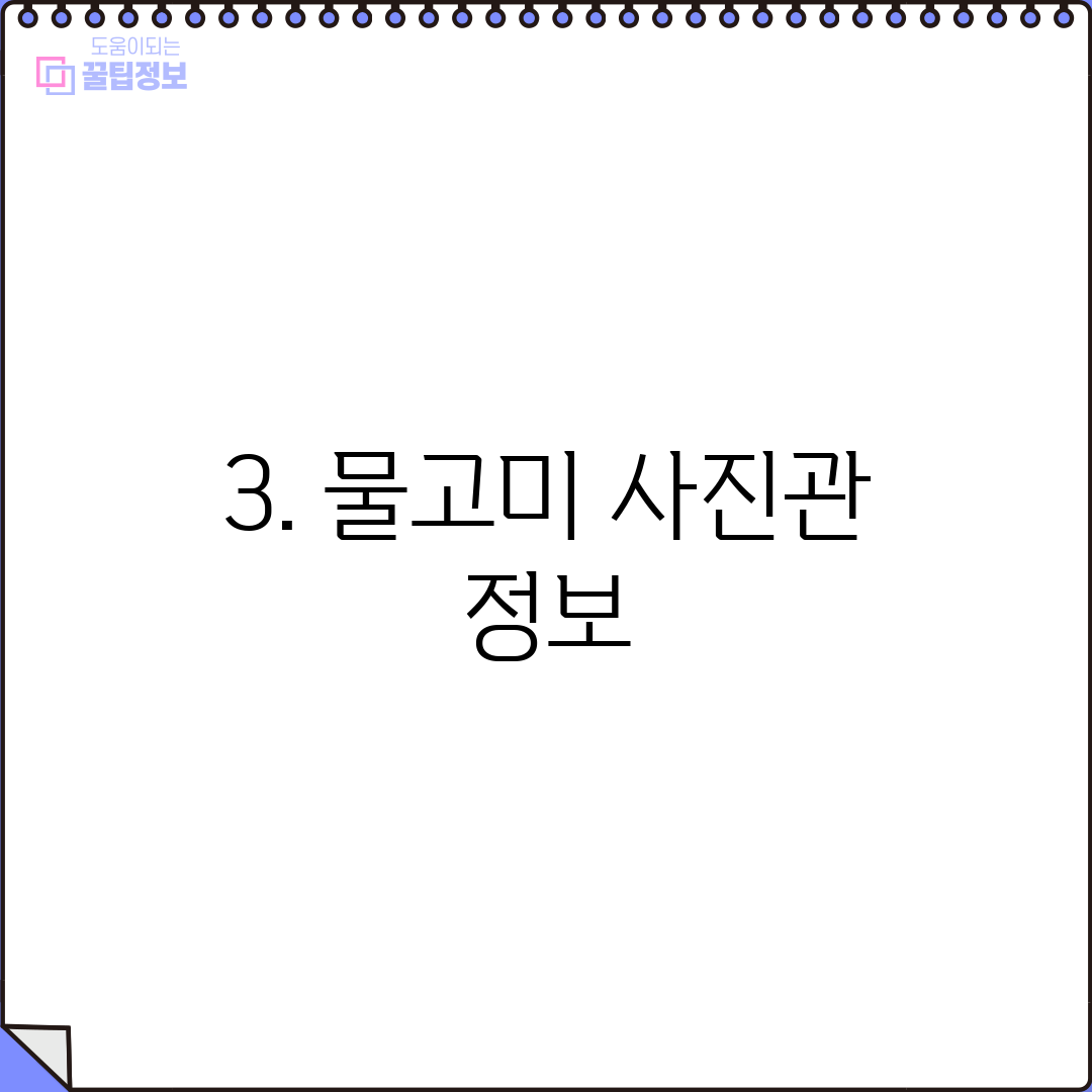 3. 물고미 사진관 정보